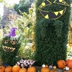 用戶對於マクドナルド 枚方パーク店的評論圖