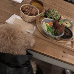 User's review image for Vegeto Coffee