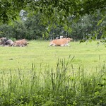 User's review image for ファームレストラン千代田