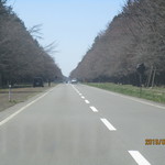 用戶對於ひだか漁協三石特産品販売センター的評論圖