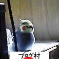 用戶對於とらや的評論圖
