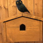 用戶對於バードコーヒー的評論圖