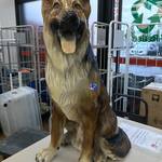 User's review image for 山田うどん 青梅新町店