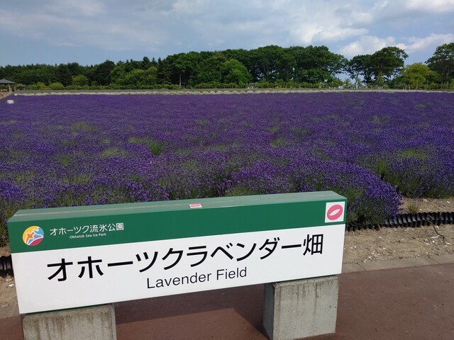 User's recommendation image for 花のCAFE