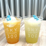 用戶對於SKY GARDEN 300的評論圖