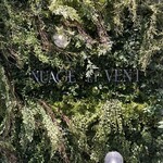 User's review image for NUAGE ET VENT