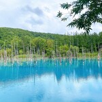 User's review image for 白金温泉郷 森の旅亭 びえい