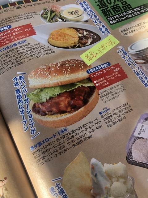用户对于Gyaro的评论高清图
