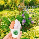 用户对于二十三十二的评论图