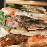 User's review image for なきざかな 新宿店はなれ