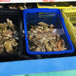 用戶對於池田商店的評論圖