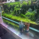用戶對於AQUA GARDEN KYOTO的評論圖