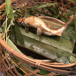 用户对于ＨＡＮＡ吉兆的评论图