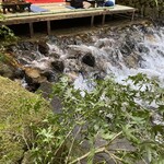 User's review image for ふじや