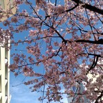 用戶對於亀屋万年堂 自由が丘駅前店的評論圖