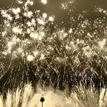 用户对于麦音的评论图