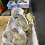 用戶對於おさかな 魚四季的評論圖