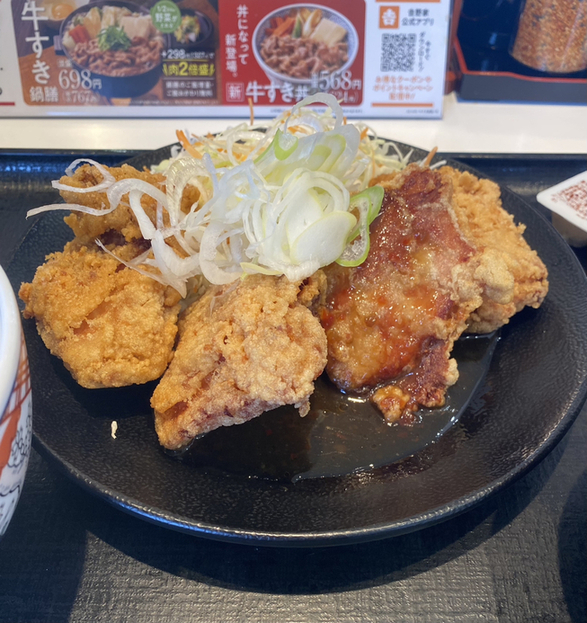 用戶對於吉野家 ２０２号線バイパス原店的評論圖