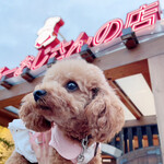 User's review image for りくろーおじさんの店 住之江公園店