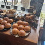 User's review image for REGINA