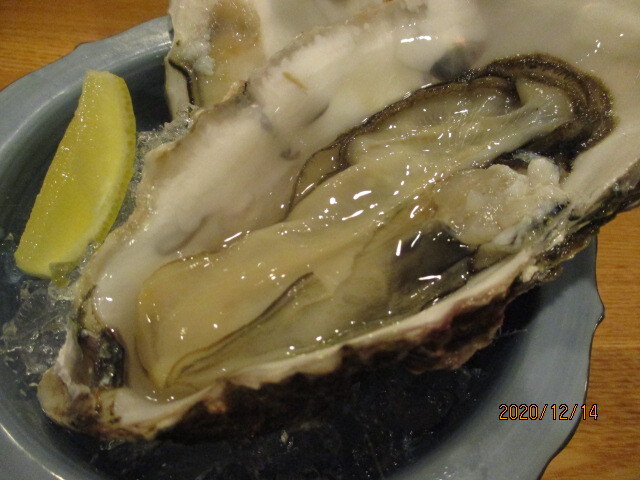 User's review image for 和食バル 向陽キッチン