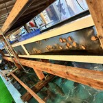 用戶對於魚庄 糸島 大原店的評論圖