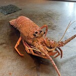 User's review image for TEPPANYAKI 10 GINZA