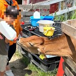 User's review image for ファームレストラン千代田