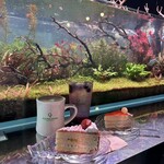 用戶對於AQUA GARDEN KYOTO的評論圖