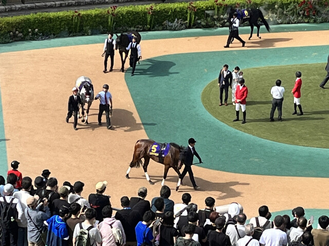 用户对于崎陽軒 エキュート立川店的评论高清图