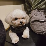 用戶對於CAFE TANTON的評論圖