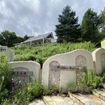 用户对于フラノデリス的评论图