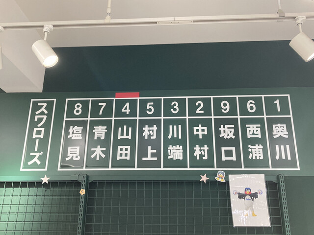 用户对于東京ヤクルトスワローズ Official Goods Shop つば九郎店的评论高清图