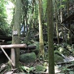 User's review image for だんごあん
