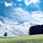 用戶對於ビブレ ブーランジェリー的評論圖