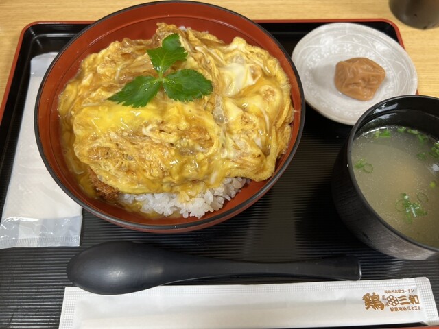 用户对于鶏三和 JR京都伊勢丹店的评论高清图