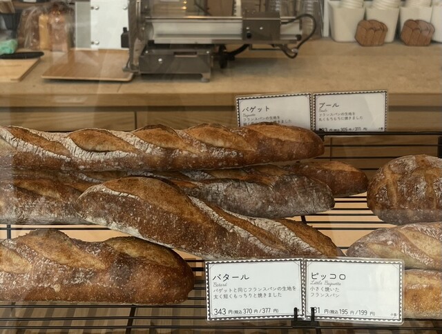 User's recommendation image for TRASPARENTE La Cartolina