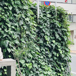 用戶對於パンとエスプレッソと的評論圖