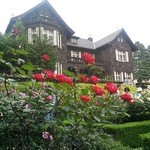 用户对于旧古河庭園 洋館　喫茶室的评论图