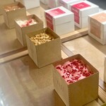 User's review image for titi