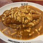 用户对于旨辛カレー専門店 白洋亭的评论图