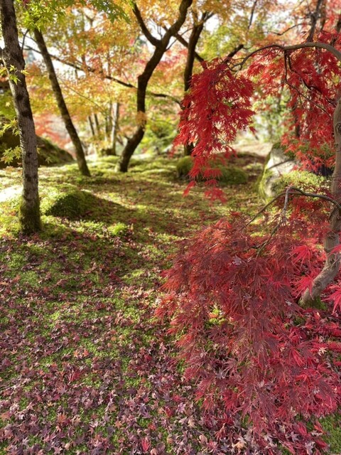 User's recommendation image for みかえり茶屋