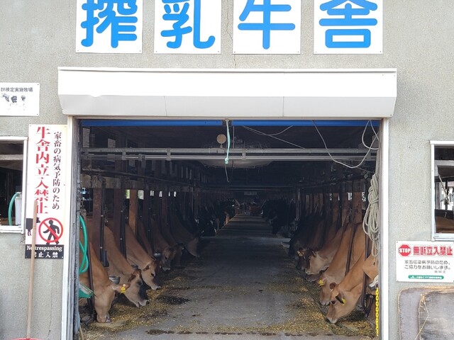 用戶對於山川牧場ミルクプラント的評論高清圖