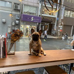用戶對於カタチ カフェ的評論圖