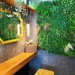 User's review image for sole de conon