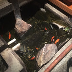 用戶對於お魚と地酒 豆助 西心斎橋店的評論圖