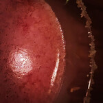 User's review image for Bar Landscape.