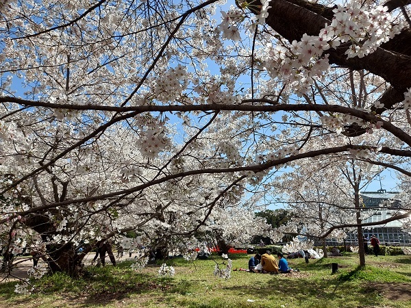 用户对于進々堂 北山店的评论图