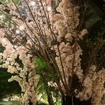 User's review image for キンプトン新宿東京
