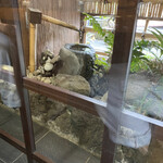 User's review image for かつ久